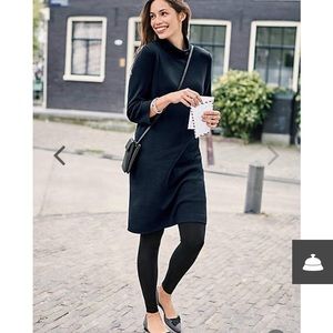 NWOT J.Jill turtleneck sweater dress